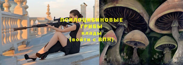 мдпв Ростов