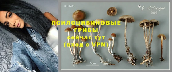 мдпв Ростов