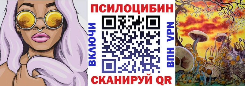 Псилоцибиновые грибы мицелий Кузнецк